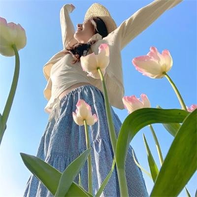 疯狂马戏团